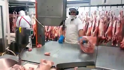 Un boucher rapide découpe des carcasses de porcs