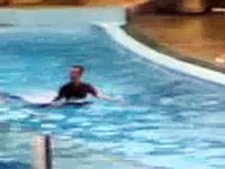 ZooMarine 2007 Baia dei pinnipedi 5