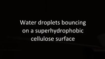 Water droplets bouncing on a superhydrophobic cellulose surface