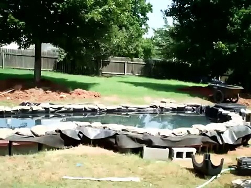 My Koi Pond