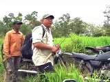 Merauke - Memancing Arwana Papua Di Sungai Bian - Mancing Mania Trans7
