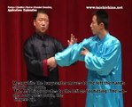 Application Explanation For Posture2 Of Chen Style Taichi Qu