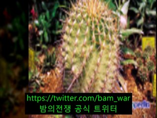 전남핸플｛ 밤전 ｝홍대핸플 러블리 ナ 「울진핸플」