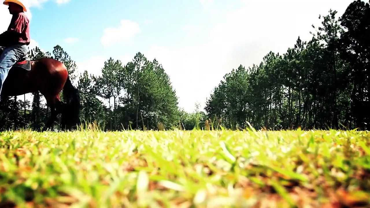 Joseph Fonseca - El Caballito De Palo