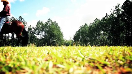 Joseph Fonseca - El Caballito De Palo