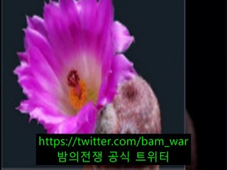 당감핸플 〘 밤전 〙종로핸플 골드 も 『인천논현핸플』