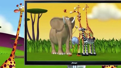 Funny Animals Cartoon 2015 Funny Animals 2015