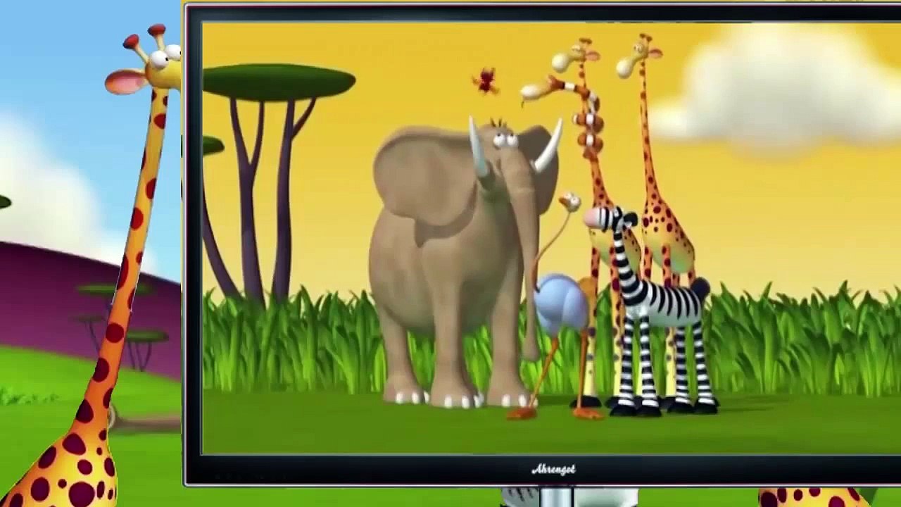 Funny Animals Cartoon 2015 Funny Animals 2015