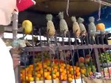 Vegetable Fruit Market Bazar Near Madina Hotel, Ramganj, Jaipur, Rajasthan 302003, India