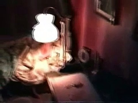 Disney World's Peter Pan's Flight