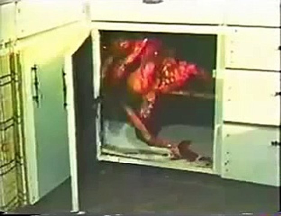 Abomination (hard vore)