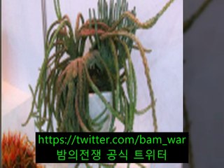 대연핸플 ◁ 밤워 ▷홍대핸플 러블리 ギ 「월계핸플」