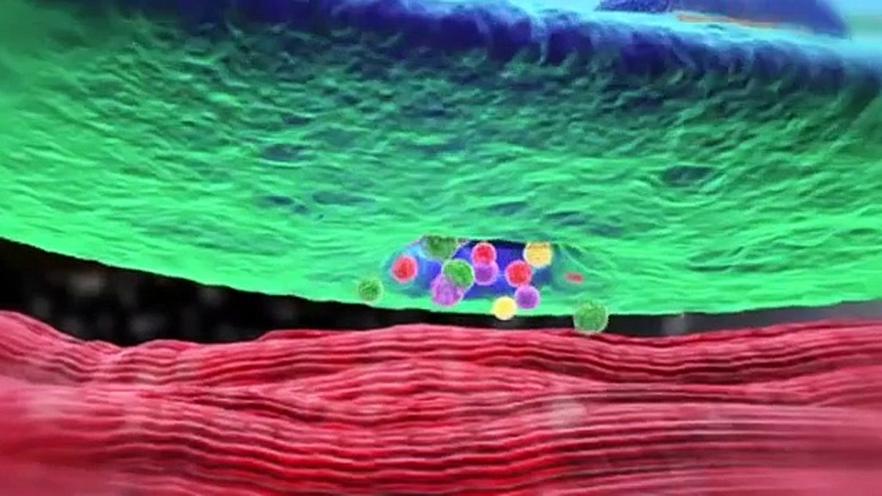 Mechanism of Botulinum Toxin (Botox) - Chelsea Cosmetics Call @(03) 88223472