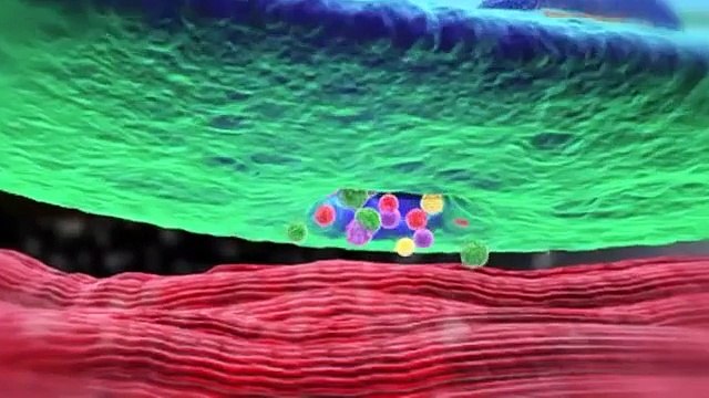 Mechanism of Botulinum Toxin (Botox) - Chelsea Cosmetics Call @(03) 88223472