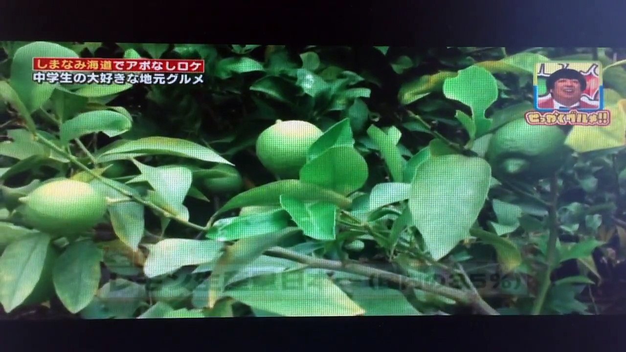 バナナマン せっかくグルメ やしろ優 ドルチェ141005