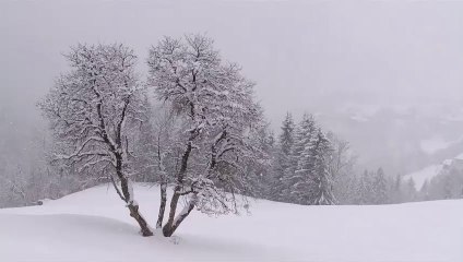 Jorge Fernando - Quebranto (fado)