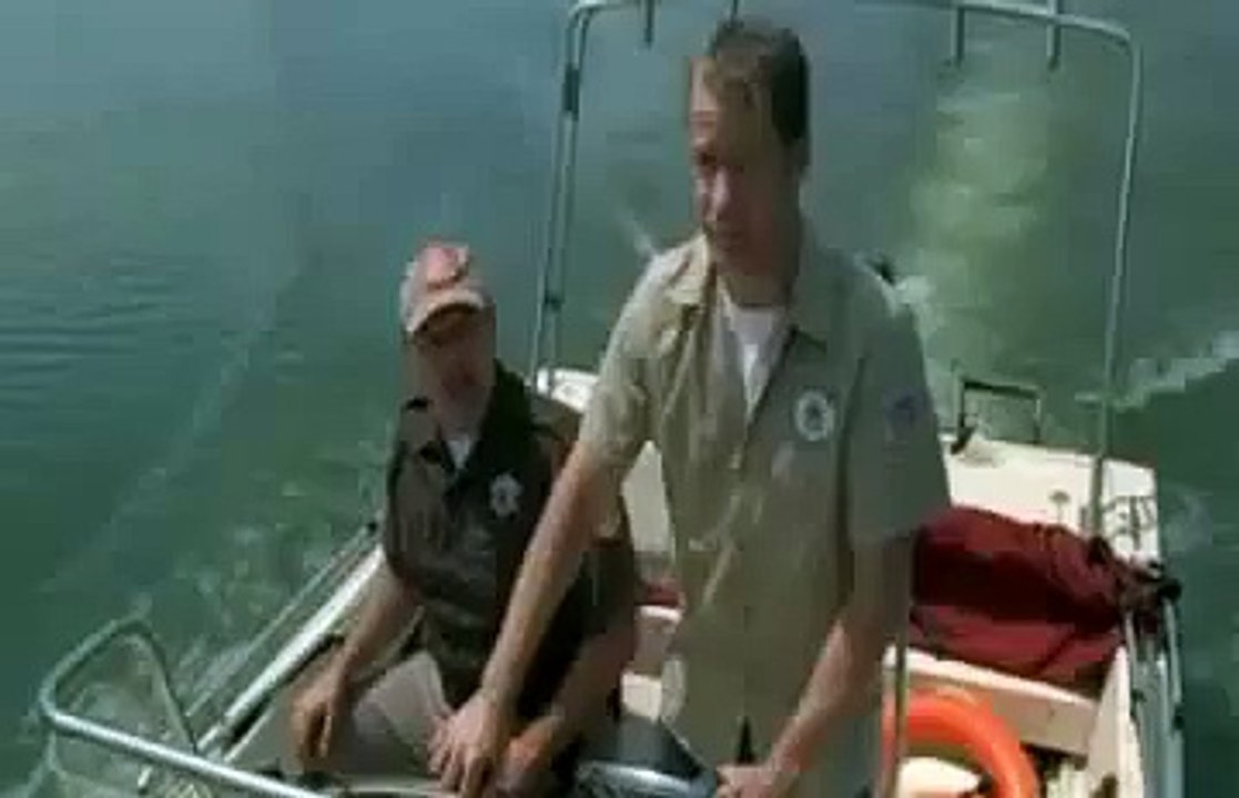 Lake Placid 3 Crocodile Kills Tara