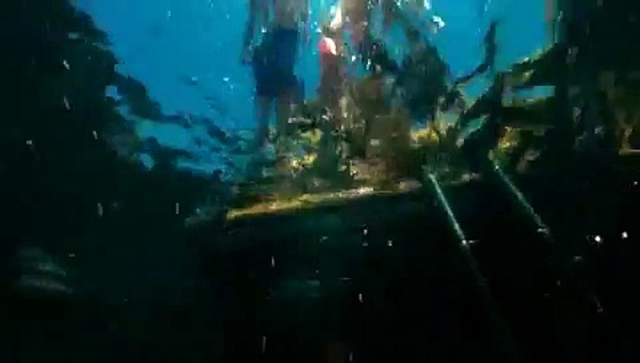 Piranha 3D - Sorority Girl's Death