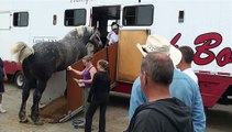 Cavalia Horses transported by Rick Bodi Horse Transport from Montreal to Chicago. June 2009