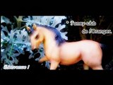 Poney-Club de l'Oranger - Photos ♥