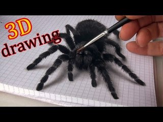 Watch Kids Freak Out at 3D Spider Drawing | Anamorphic 3D Illusion