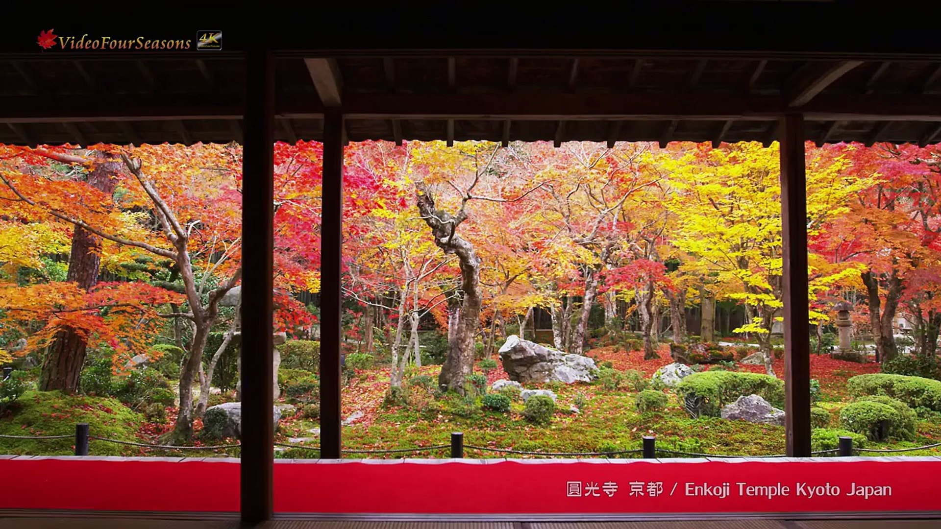 京都 圓光寺の紅葉 Enkoji Temple Kyoto Japan 4k Uhd 美しい日本の風景 The Beautiful Scenery Of Japan Video Dailymotion