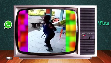 Melhores Vídeos do WhatsApp e Vine - 2ª Semana Março 2015