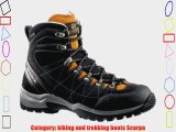 Scarpa R-Evo Gtx Trekking Boots - Suede | Vibram Fagus | Suede grey 9