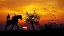 Relaxing Sound of a  Horse Walking - Clip Clop Horses Hooves