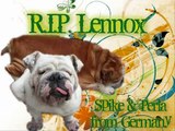 R.I.P. Lennox - you will always be in our hearts and memories