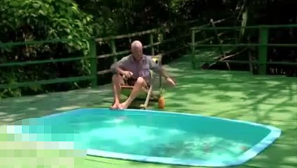 Onlarca piranaların bulunduğu havuza girerse..