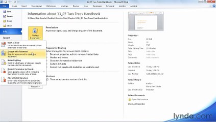 1307 Finalizing and password-protecting a document
