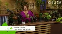 Trisha's summer favorites: Central Texas Gardener