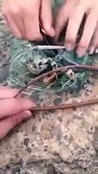 Trapped Snake Thanks It's Rescuers With A Surprise!