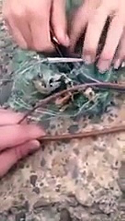 Trapped Snake Thanks It's Rescuers With A Surprise!