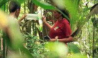 Institucional INCT da Biodiversidade Amazônica