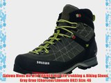 Salewa Mens MS MTN TRAINER MID GTX Trekking