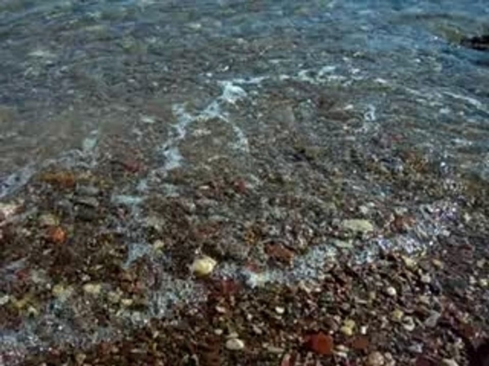 plage d' eilat