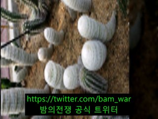 안양립카페 플라워〚 밤워 〛〔전포립카페  ね 청명립카페〕