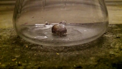 Close Up Reaction of Sodium in Water