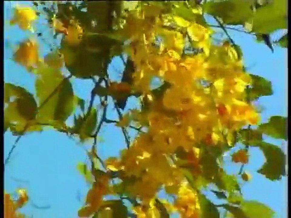 Action Songs For Sunday School Children