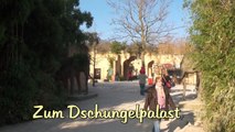 Zoo Hannover Dschungelpalast