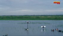 You have heard about skipping stones across water