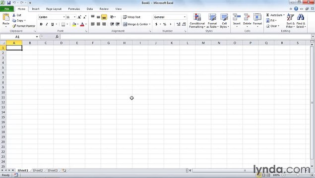 MS Excell Using the exercise files