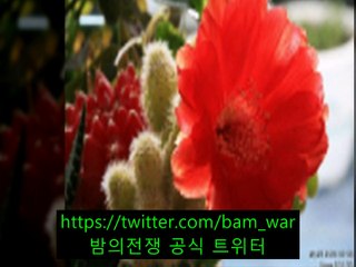 -천호립카페 과일나라 - ト 천안립카페〈 밤전 〉 ト 용당동립카페