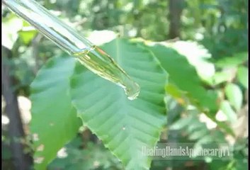 Complexion Perfection Face Serum for Acne