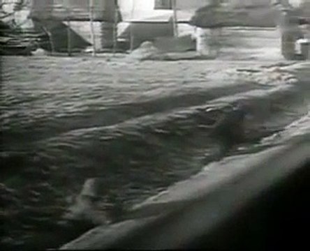 Newsreel footage from WW2 eastern front January 1945