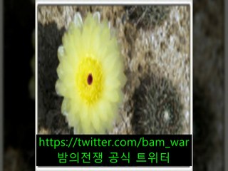 ▷ 밤전 ◁강남립카페 카페빠네 ゲ  -군자립카페 - ネ 광주동구립카페