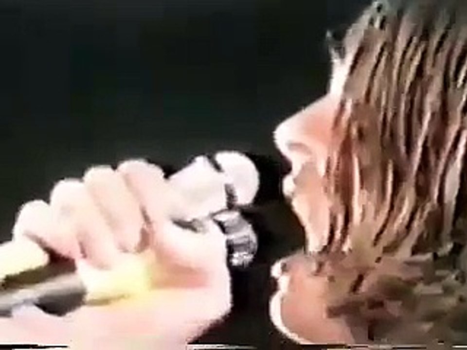 Black Sabbath - Fairies Wear Boots (Came to the Sabbath 1970)