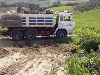 new holland escavatore e iveco 330-36